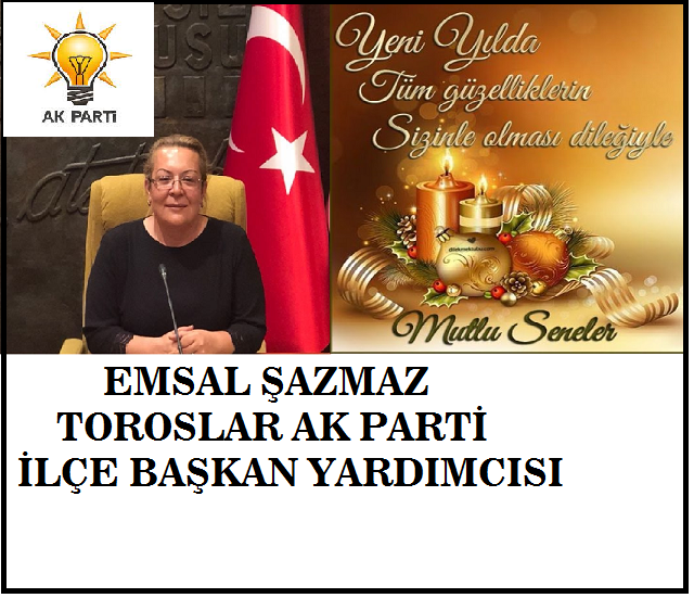 YENİ YIL TEMENLİLERİ ÖZYARMERSİN POSTASI