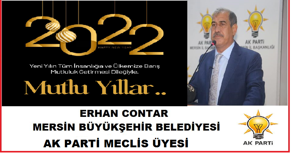 YENİ YIL TEMENLİLERİ ÖZYARMERSİN POSTASI