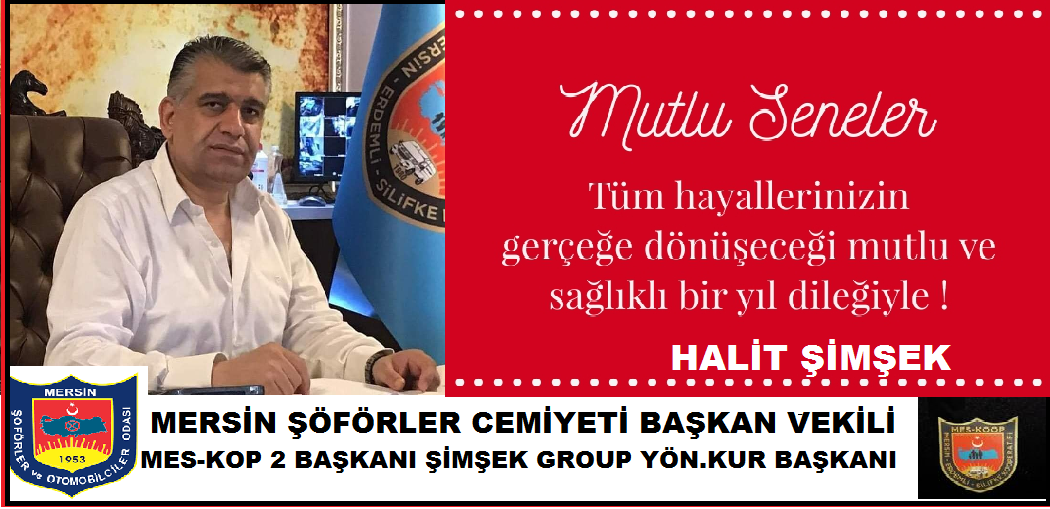 YENİ YIL TEMENLİLERİ ÖZYARMERSİN POSTASI