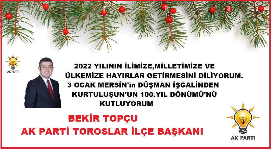 YENİ YIL TEMENLİLERİ ÖZYARMERSİN POSTASI