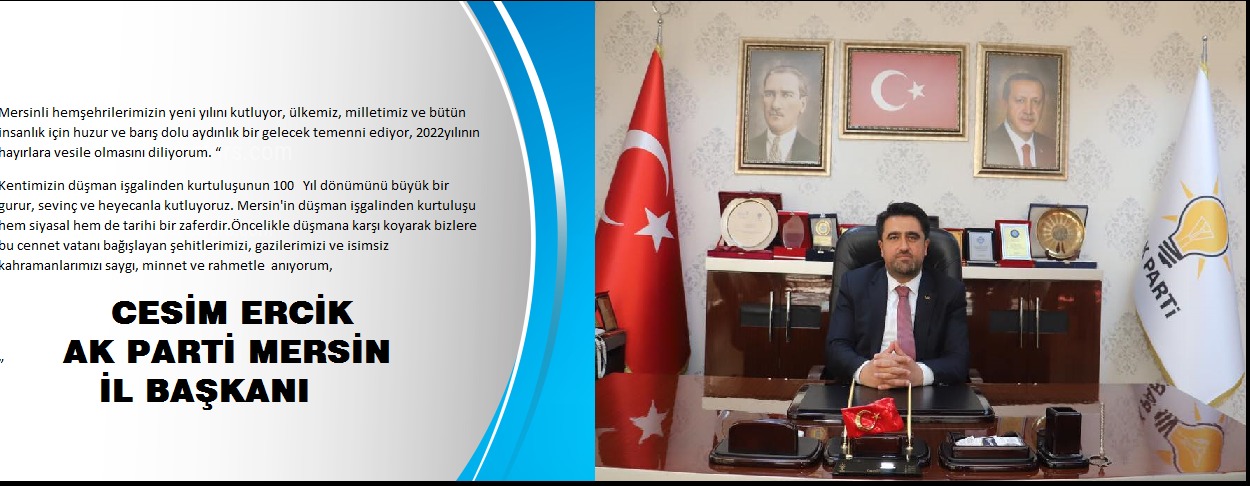 YENİ YIL TEMENLİLERİ ÖZYARMERSİN POSTASI
