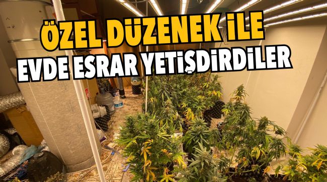 EVDE ESRAR YETİŞTİREN ŞAHISLARA OPERASYON: