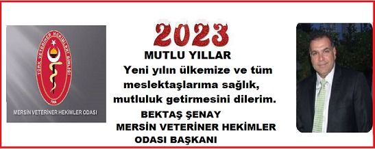 2023 YENİYIL MESAJLARI;
