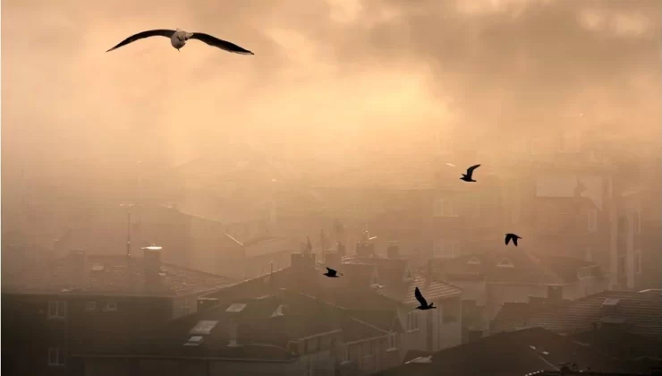 Temiz Hava Hakkı Platformu’nun son raporuna göre, Türkiye’de 2022 yılında 68 bin 440 kişi hava kirliliğine bağlı hastalıklar nedeniyle hayatını kaybetti. Bu acı gerçek, ülkemizin en önemli sağlık sorunlarından biri haline gelen hava kirliliğinin boyutlarını gözler önüne seriyor.