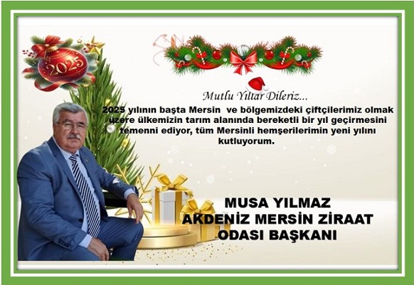 2025 YENİ YIL KUTLAMA MESAJLARI