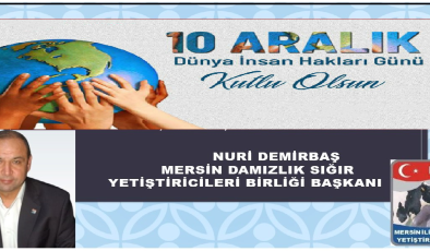 10ARALIK İNSAN HAKLARI MESAJLARI
