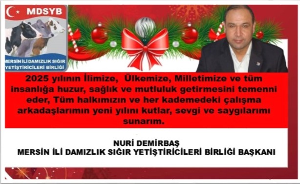 2025 YENİ YIL KUTLAMA MESAJLARI