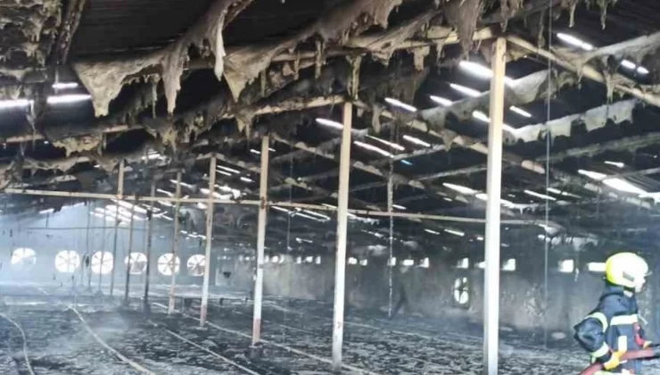 Mersin’in Tarsus ilçesinde boş durumdaki tavuk üretim çiftliğinde yangın çıktı.