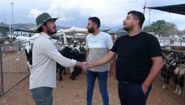 Mersin’de Kurban Pazarında Kıran Kırana Pazarlık Başladı