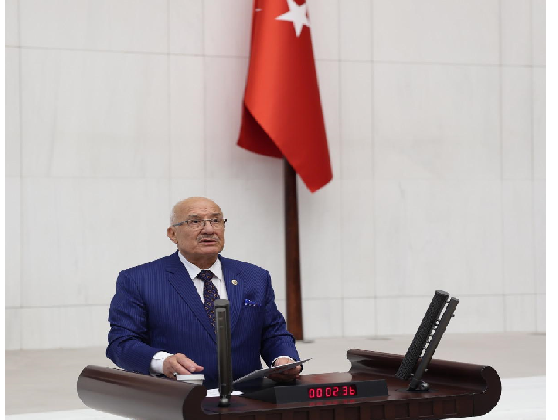 iyiparti  mersin millet vekili BURHANETTİN KOCAMAZ   MECLİS AÇIKLAMASI