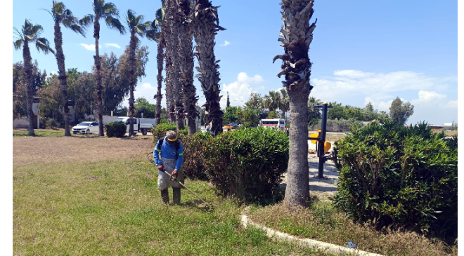 AKDENİZ’İN PARK, BAHÇE VE YEŞİL ALANLARINA YAZ BAKIMI