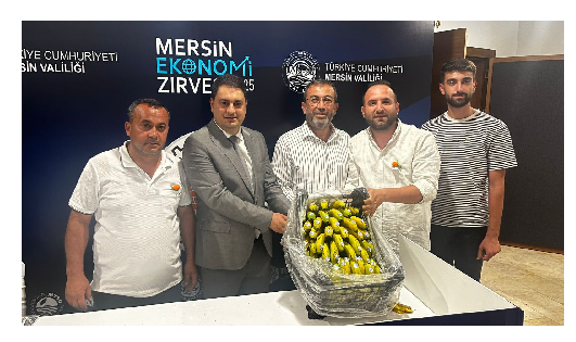 Mersin Ekonomi Zirvesi Sonuç Bildirgesi Toplantısına katılmak üzere Odamızı temsilen Mersin’e gittiler.