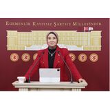 Çocuk Hareketi’nin bildirisinde öne çıkan bazı tespitler ve çağrılar şunlar: