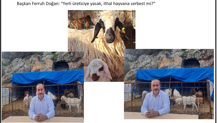 Başkan Ferruh Doğan: “Yerli üreticiye yasak, ithal hayvana serbest mi?”