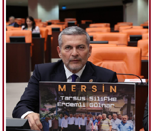 MHP MERSİN MİLLETVEKİLİ DR. LEVENT UYSAL, 2B ARAZİ FİYAT YÜKSEKLİĞİNİ MECLİS’E TAŞIDI  MİLLETVEKİLİ UYSAL: BU TOPRAKLAR SADECE ARSA DEĞİL, ALIN TERİDİR