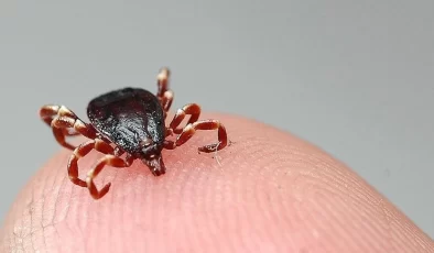 KKKA hastalığı şüphesiyle tedavi gören kişi hayatını kaybetti