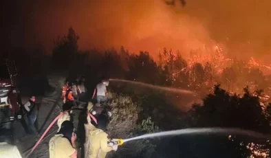 Hatay Valiliğinden Suriye’deki yangına ilişkin açıklama