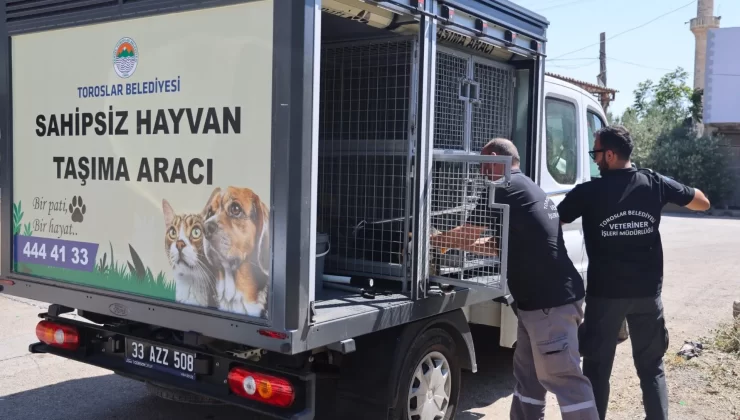 Toroslar Belediyesi, bölgedeki sokak hayvanlarının yaşam kalitesini artırmak amacıyla önemli bir yapılanmaya gitti.