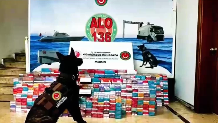 Mersin Limanı’nda 1.400 Karton Elektronik Tütün Yakalandı