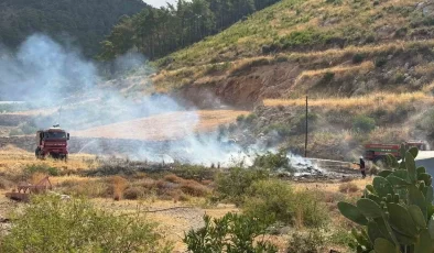 Yangın ormana sıçramadan söndürüldü