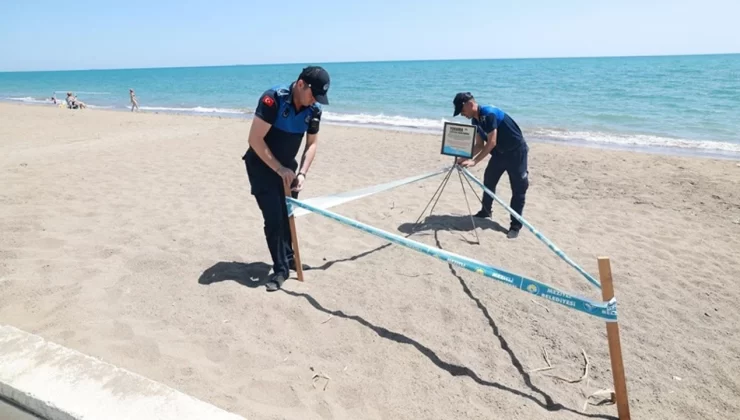 Mezitli’de Caretta Caretta Alarmı: Sahillerde Nöbet Devam Ediyor