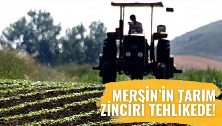 Mersin Ekonomisinde Kritik Uyarı: “Tarım Zarar Görürse Türkiye Zarar Görür”