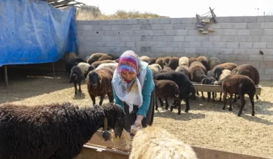 Köyde Yaşam Geri Dönüyor: Mersin’in Büyük Sürpriz Hamlesi