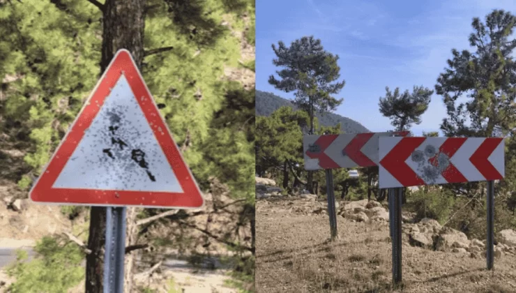 Bozyazı’da Trafik Levhaları Kurşunlandı: Vandallar Yine İş Başında!