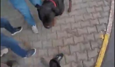 Mersin’de ağızlıksız Rottweiler dehşeti: Kadına ve kuryeye saldırdı
