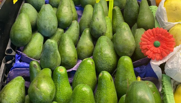 Avokado tezgâhlarda altın değerinde: “Almak istiyoruz ama artık tane ile alıyoruz”