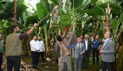 Kuzeyhan için Anlamlı Yardım: Başkan Deniz, Muz Dalı Kampanyasına Destek Çağrısı Yaptı