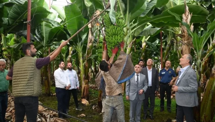 Kuzeyhan için Anlamlı Yardım: Başkan Deniz, Muz Dalı Kampanyasına Destek Çağrısı Yaptı