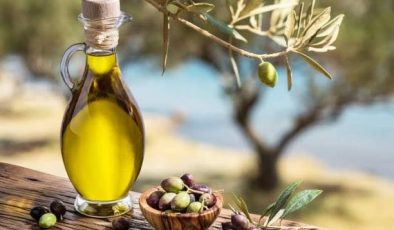 Zeytinde büyük adım: %60 hibe ile üreticiye tesis kurma imkânı