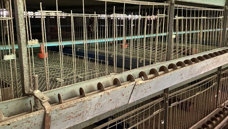 Satılık 10.000 m² Kapalı Alanlı, 15.800 m² Mülk ve Kullanılmamış, Tam Teşekküllü Entegre Yumurta Üretim Tesisi