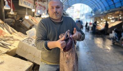 Mersin balık pazarında sürpriz av: 1,5 metrelik Atlas balığı
