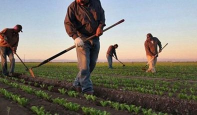 Başvurular için son gün !