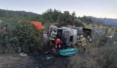 Kaza yaptıktan sonra alevlere teslim olan tırdaki 2 kişi öldü, taşınan anguslar otobana yayıldı