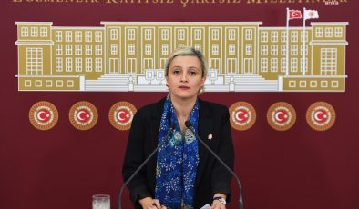 DEM Partili Koca’dan Bakan Yumaklı’ya kritik sorular