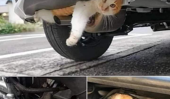 Soğuk havalar tehlikeyi artırdı!