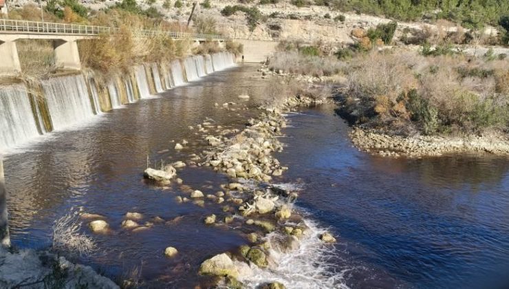 Kuş cenneti tehlikede: Göksu Nehri’ni kirleten tesise rekor ceza