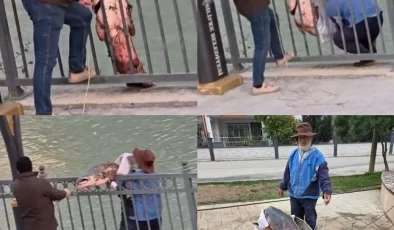 Mersin’de Göksu Nehri’nde yakalanan dev yayın balığı güçlükle kıyıya alındı