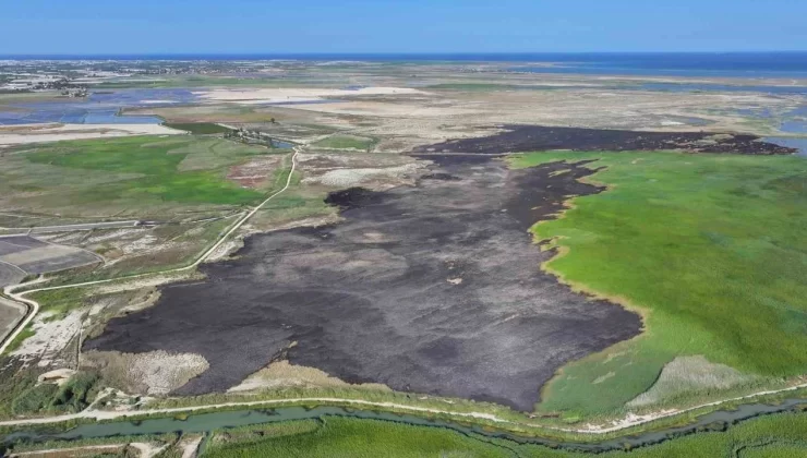 Prof. Dr. Halil Kumbur: ‘Su kaynakları iyi yönetilmezse Türkiye su fakiri olacak’