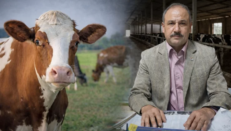 Üretici kaçıyor, ahırlar boşalıyor! Hayvancılık alarm veriyor