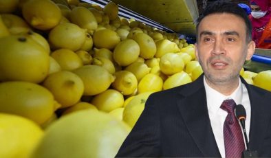 AK Parti Mersin İl Başkanı Adem Aldemir’den Limon İthalat Vergisi Düzenlemesine İlişkin Açıklama