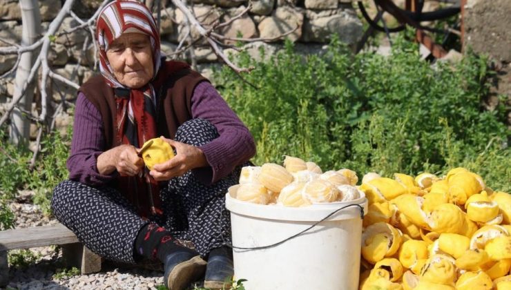 Dalında 20 TL, kabuğu 65 TL! Kozan’da kadınlardan dikkat çeken üretim