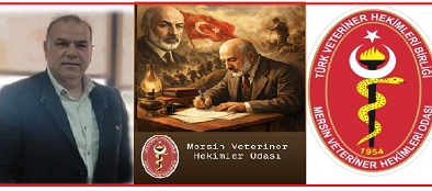 BAŞKAN ŞENAY: “AKİF’İN RUHU, BAĞIMSIZLIK MEŞALEMİZDİR”