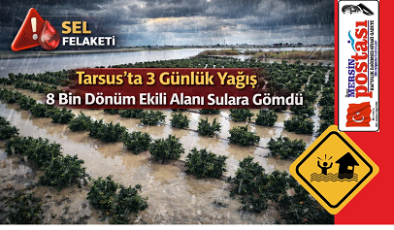 Tarsus’ta 3 Günlük Yağış 8 Bin Dönüm Ekili Alanı Sulara Gömdü