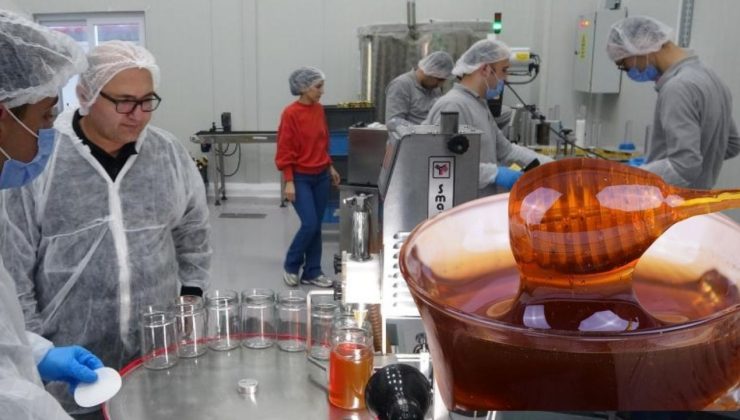 Mersin’de bal devrimi! Siparişten teslimata her adım takipte