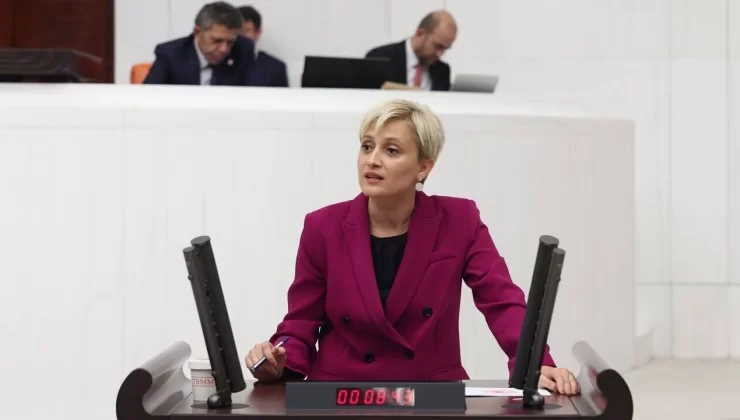 Perihan Koca “Fuhus Otelleri” İddialarını TBMM’ye Taşıdı