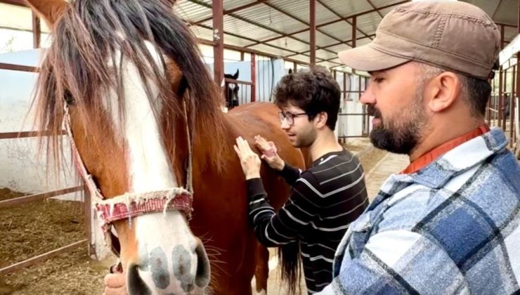 Mersin’de bu etkinlik yüzleri güldürdü! Otizmli çocuklar atla terapiyle tanıştı